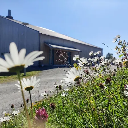 بيت شباب Skoghus Silsand