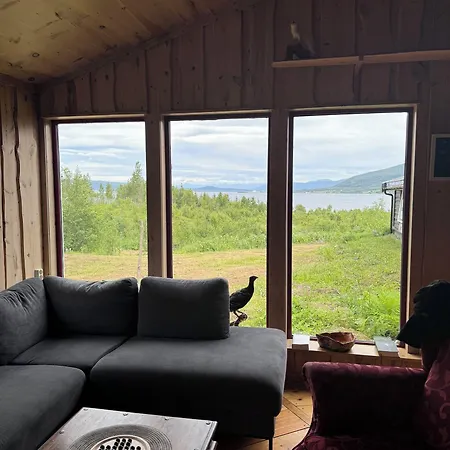 بيت شباب Skoghus